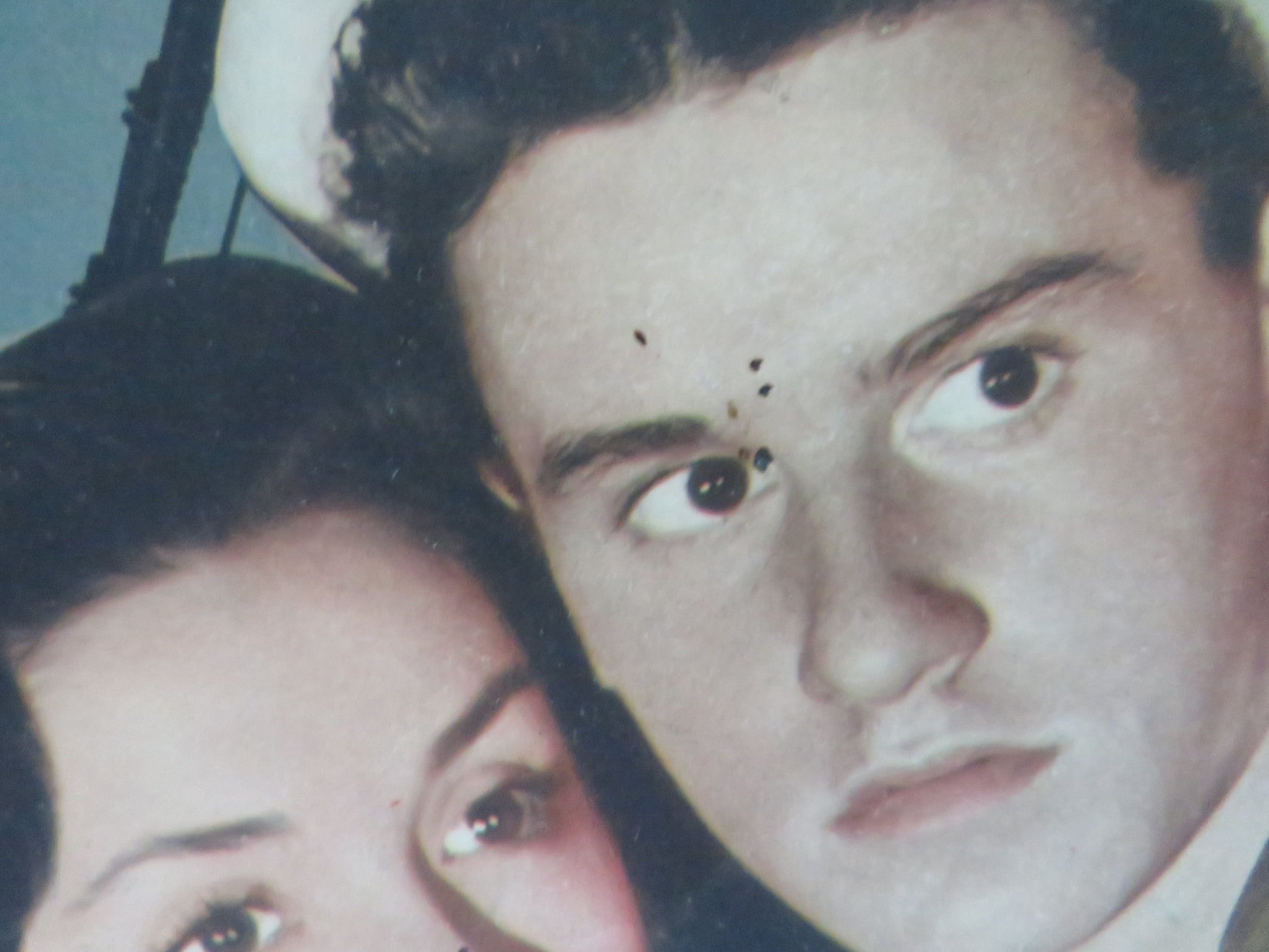 TUNA CLIPPER US LOBBY CARD FULL SET RODDY MCDOWALL ELENA VERDUGO 1949 - Rendezvous Cinema