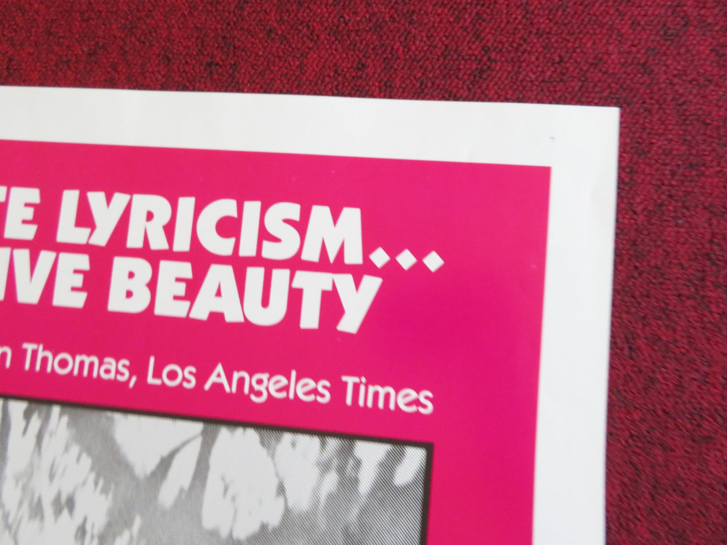 ALSINO AND THE CONDOR US TRI FOLDED ONE SHEET ROLLED POSTER DEAN STOCKWELL 1982 - Rendezvous Cinema