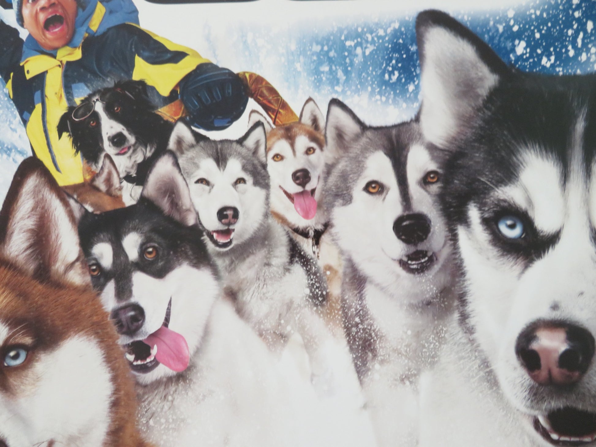 SNOW DOGS US ONE SHEET ROLLED POSTER DISNEY CUBA GOODING JR. JAMES COBURN 2002 - Rendezvous Cinema