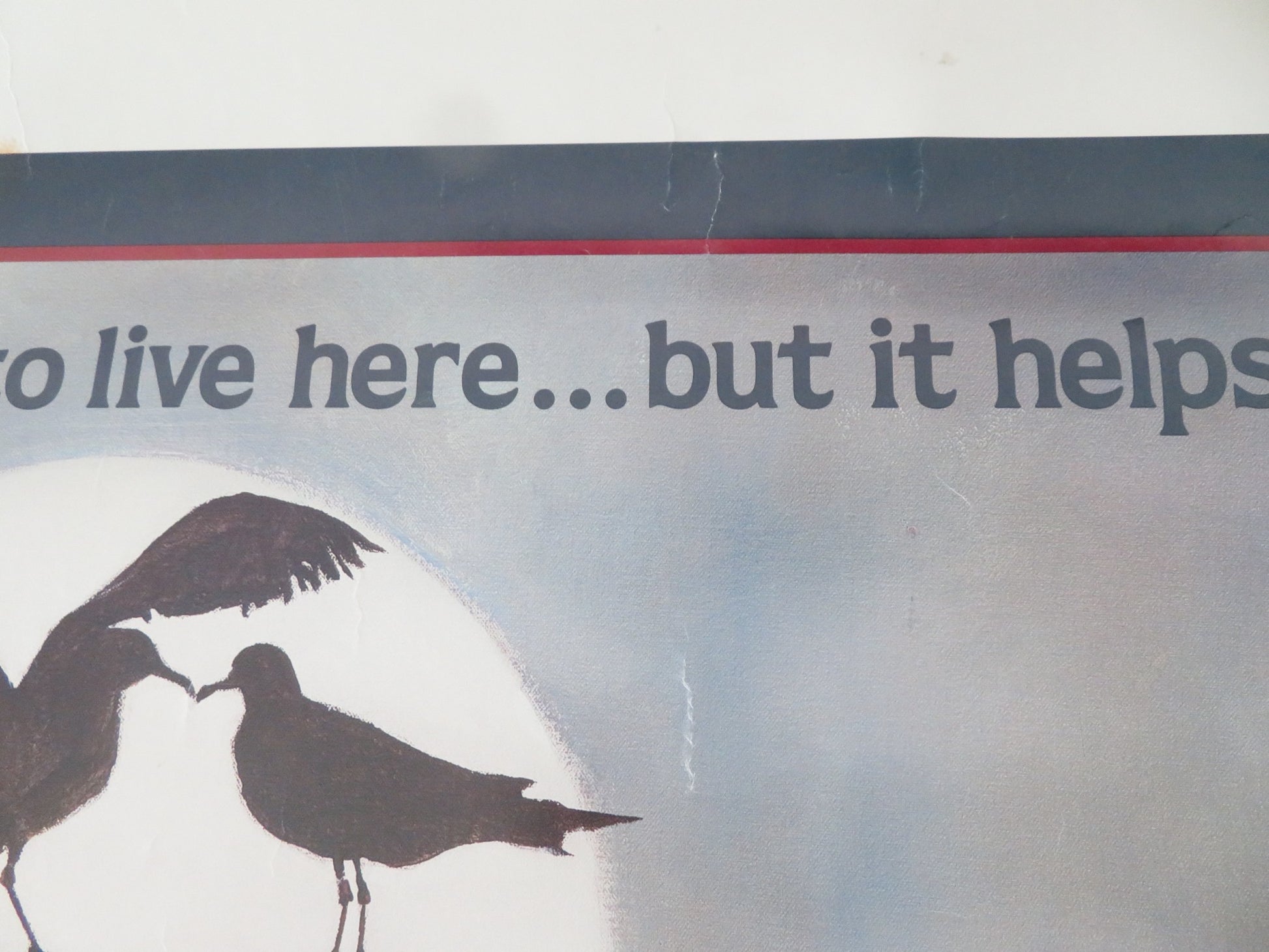 CANNERY ROW US ONE SHEET ROLLED POSTER NICK NOLTE DEBRA WINGER 1982 - Rendezvous Cinema