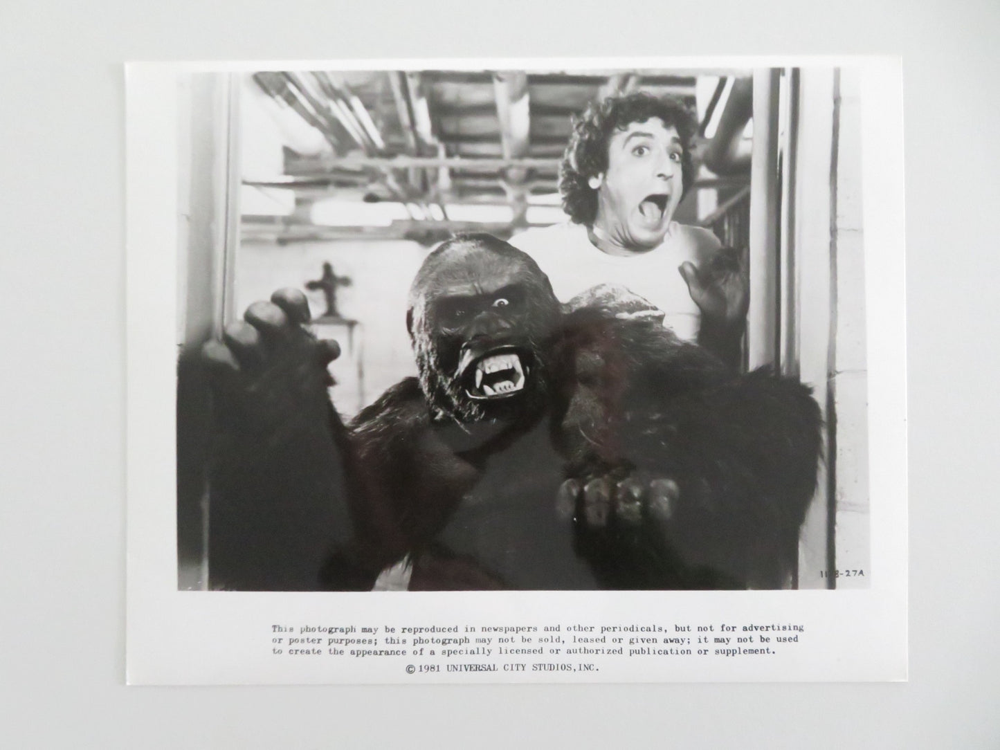 THE INCREDIBLE SHRINKING WOMAN MOVIE STILL PHOTO LOT OF 2 CHARLES GRODIN 1981