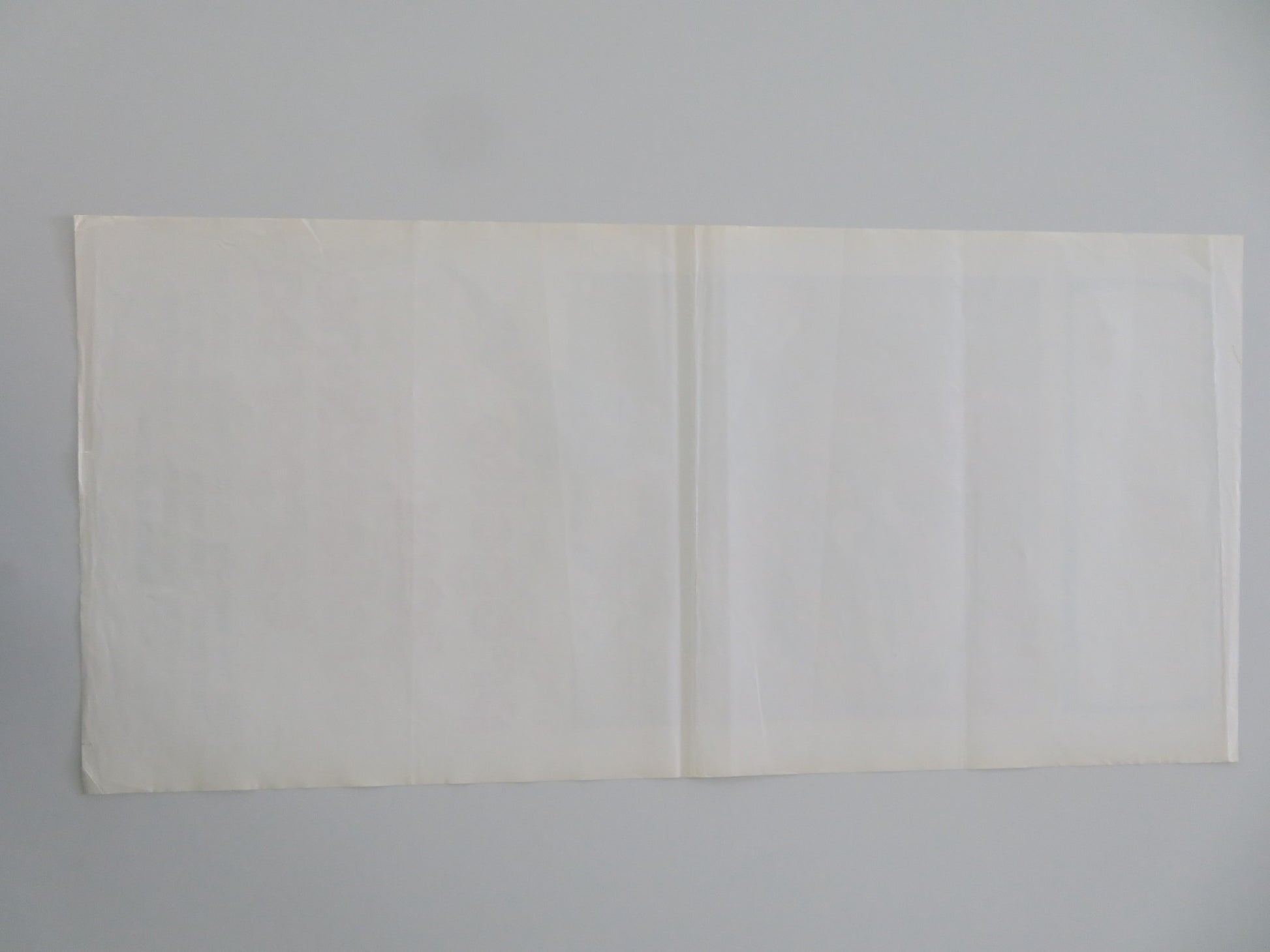 PROGETTO 3001: DUPLICAZIONE CORPOREA ITALIAN LOCANDINA POSTER M. GREENE 1976 - Rendezvous Cinema