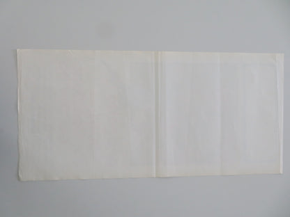 PROGETTO 3001: DUPLICAZIONE CORPOREA ITALIAN LOCANDINA POSTER M. GREENE 1976 - Rendezvous Cinema