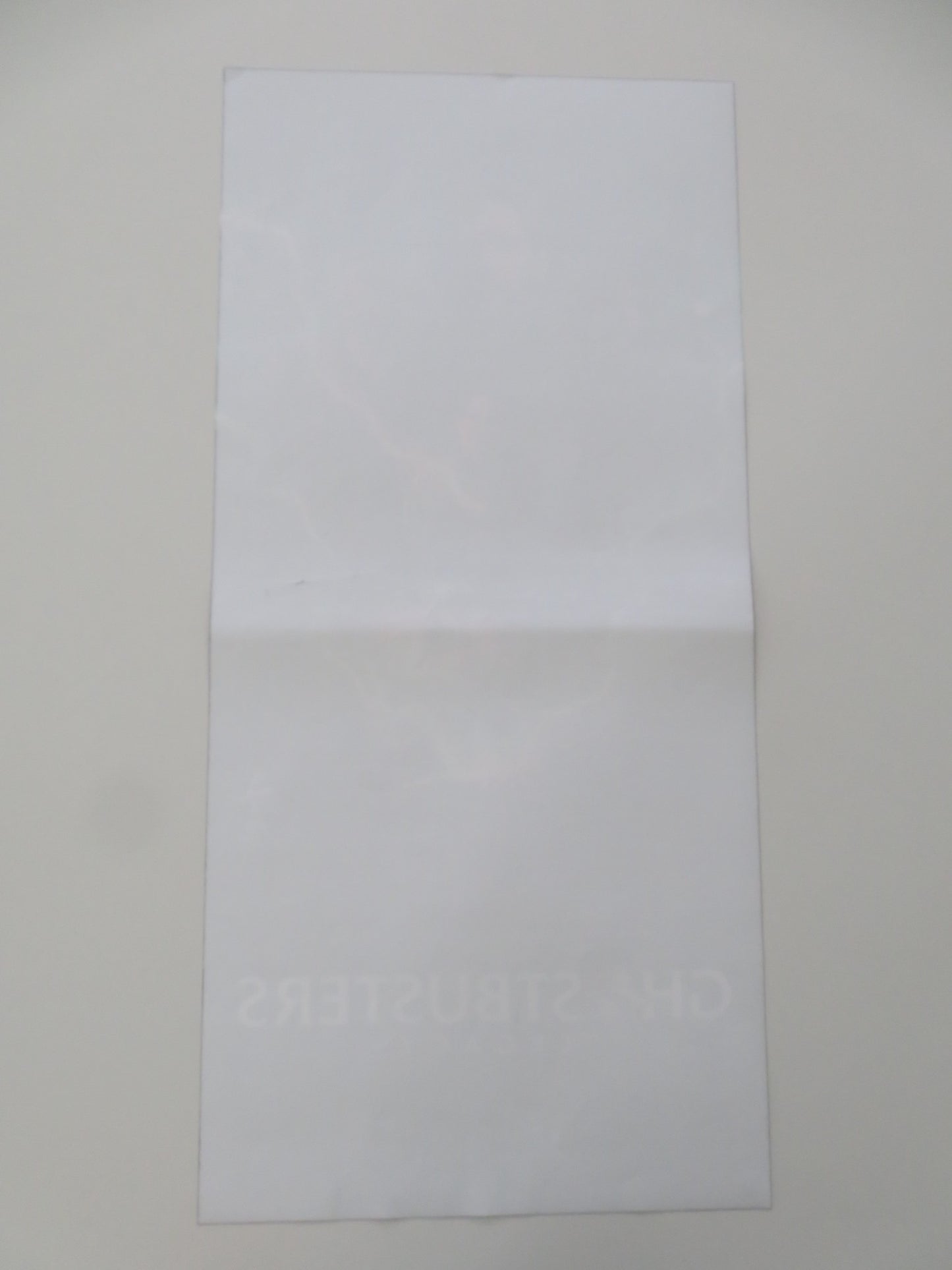 GHOSTBUSTERS: AFTERLIFE ITALIAN LOCANDINA POSTER PAUL RUDD CARRIE COON 2021 - Rendezvous Cinema