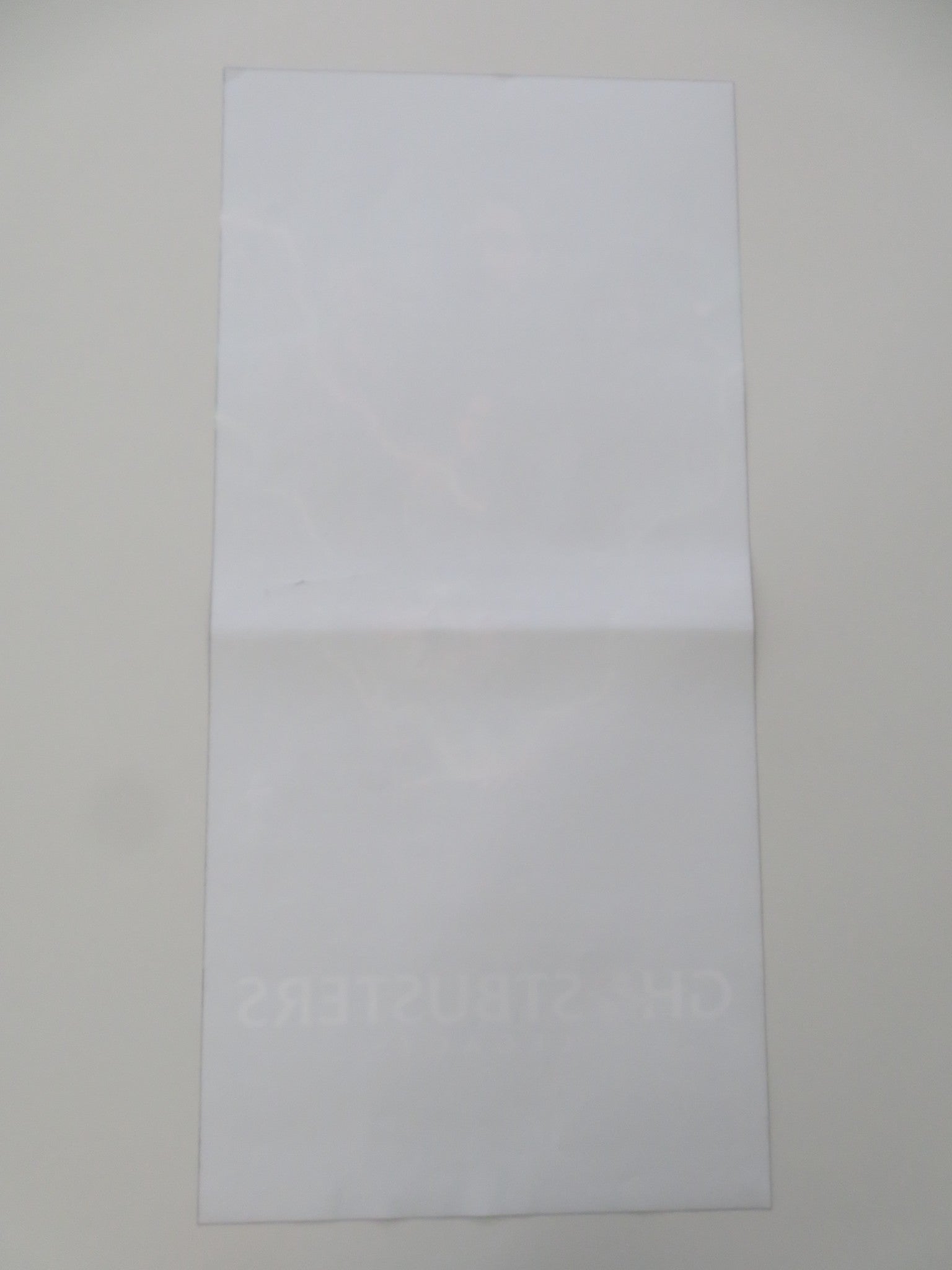 GHOSTBUSTERS: AFTERLIFE ITALIAN LOCANDINA POSTER PAUL RUDD CARRIE COON 2021 - Rendezvous Cinema