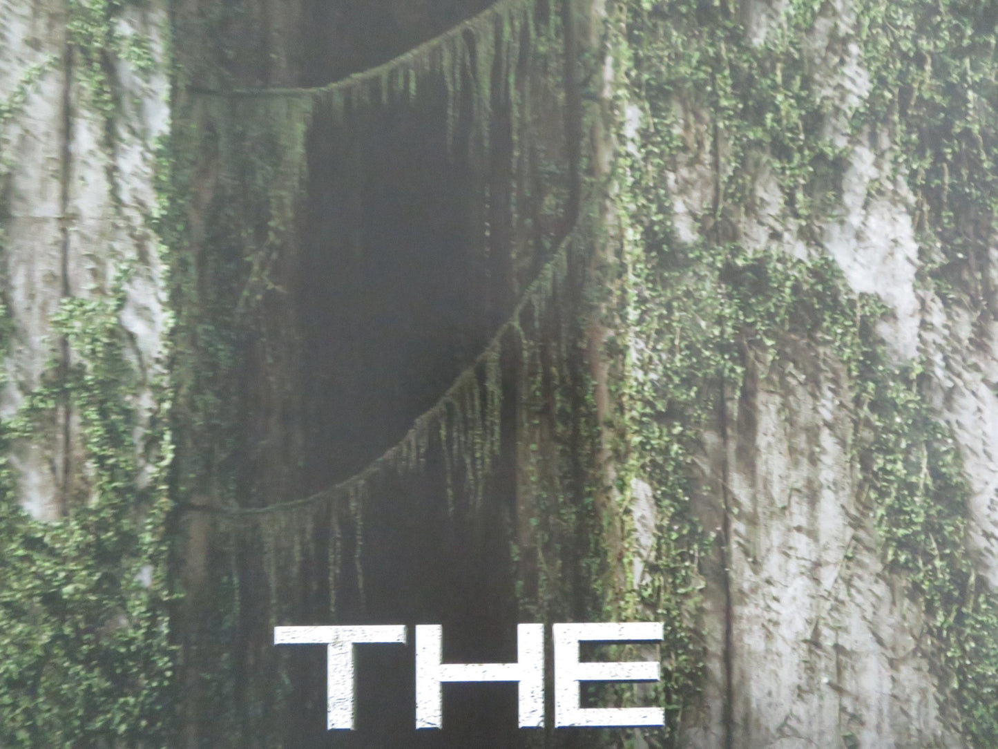 THE MAZE RUNNER - B UK QUAD ROLLED POSTER DYLAN O'BRIEN T. BRODIE-SANGSTER 2014