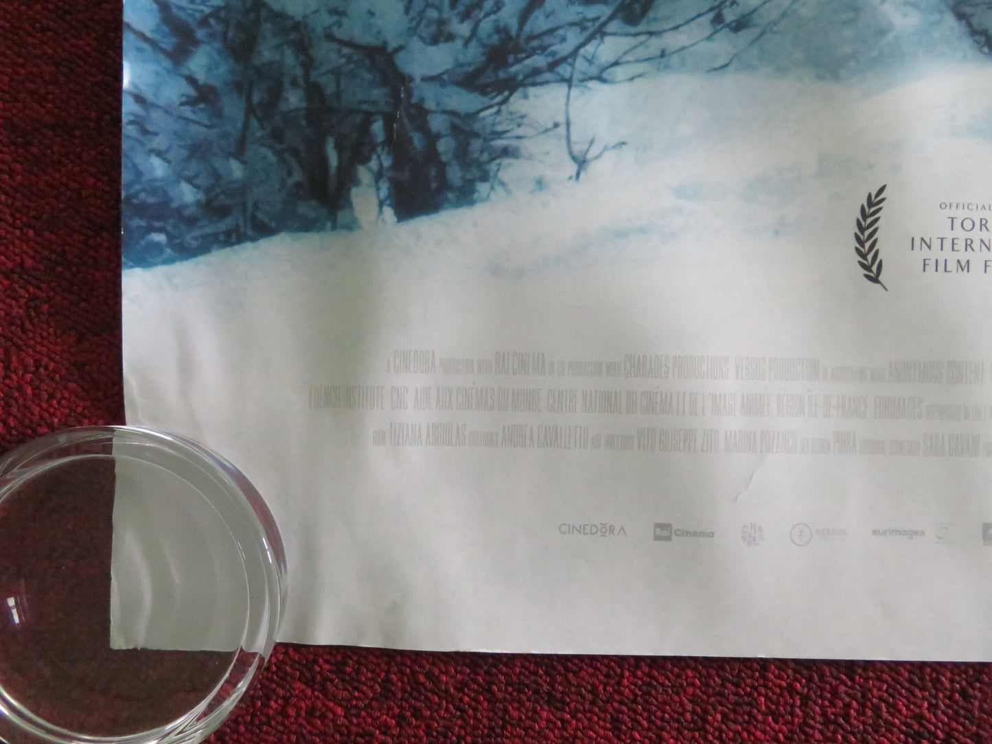 VERMIGLIO UK QUAD ROLLED POSTER TOMMASO RAGNO ROBERTA ROVELLI 2024