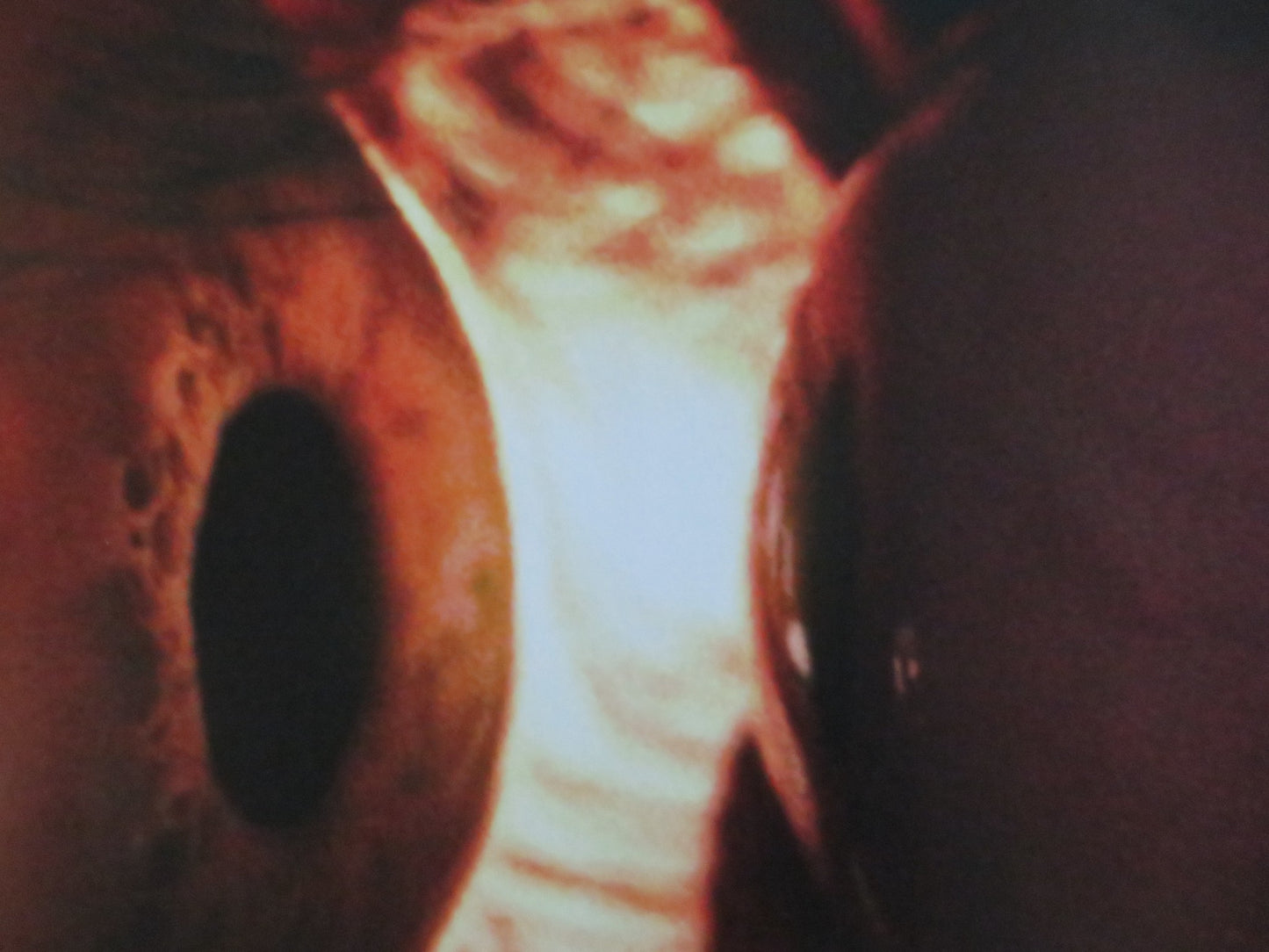 TOGETHER UK QUAD ROLLED POSTER DAVE FRANCO ALISON BRIE 2025