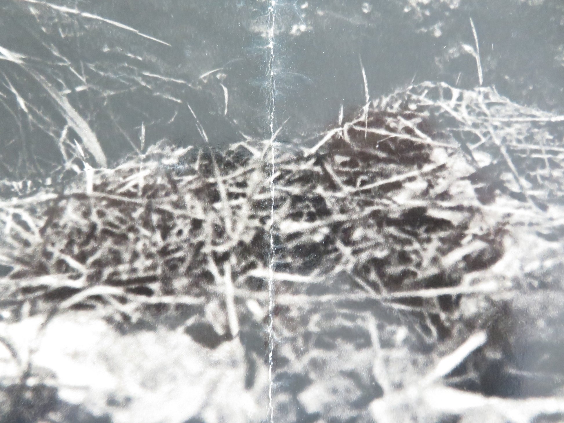 THE LONGEST DAY - D ITALIAN FOTOBUSTA POSTER RICHARD BURTON SEAN CONNERY R1969 - Rendezvous Cinema