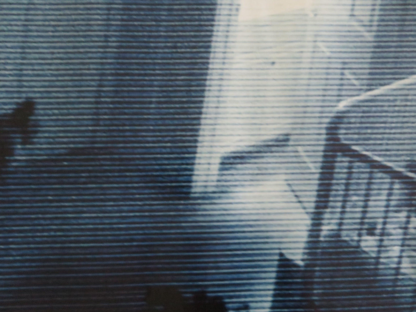 PARANORMAL ACTIVITY 2 UK QUAD ROLLED POSTER BRIAN BOLAND MOLLY EPHRAIM 2010