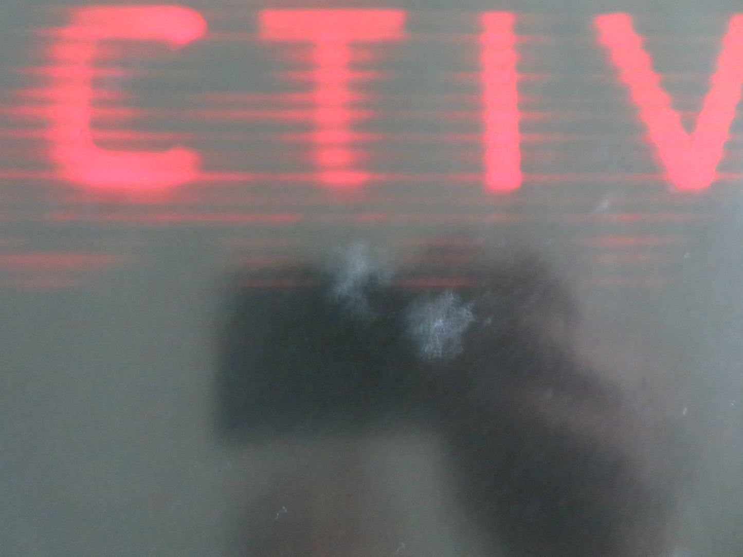 PARANORMAL ACTIVITY 2 UK QUAD ROLLED POSTER BRIAN BOLAND MOLLY EPHRAIM 2010