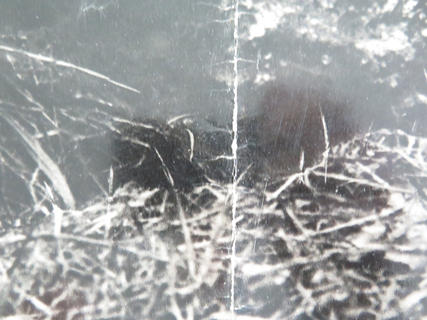 THE LONGEST DAY - G ITALIAN FOTOBUSTA POSTER RICHARD BURTON SEAN CONNERY R1969 - Rendezvous Cinema