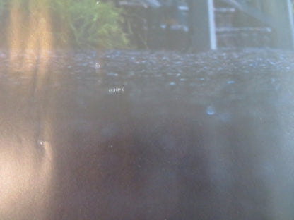 WEAPONS UK QUAD ROLLED POSTER JOSH BROLIN JULIA GARNER 2025