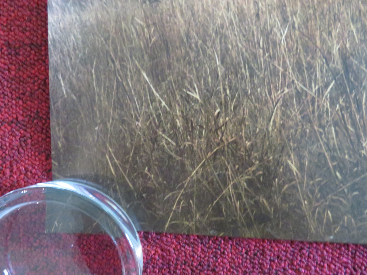 TWISTERS - B UK QUAD ROLLED POSTER DAISY EDGAR-JONES GLEN POWELL 2024