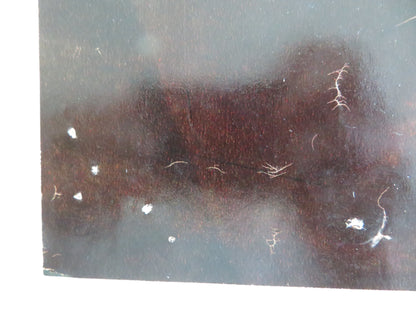 SEX AND THE SINGLE GIRL - A ITALIAN FOTOBUSTA POSTER TONY CURTIS N. WOOD 1964 - Rendezvous Cinema