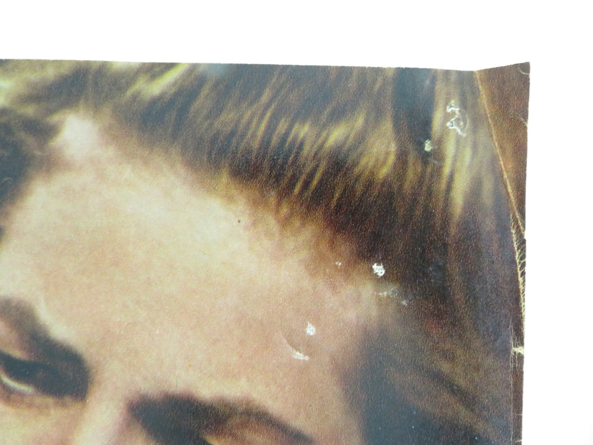 SEX AND THE SINGLE GIRL - B ITALIAN FOTOBUSTA POSTER TONY CURTIS N. WOOD 1964 - Rendezvous Cinema