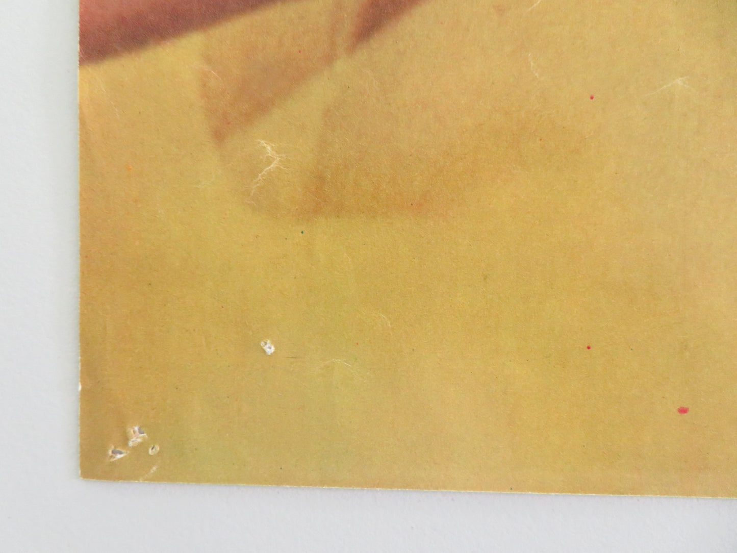 SEX AND THE SINGLE GIRL - C ITALIAN FOTOBUSTA POSTER TONY CURTIS N. WOOD 1964 - Rendezvous Cinema