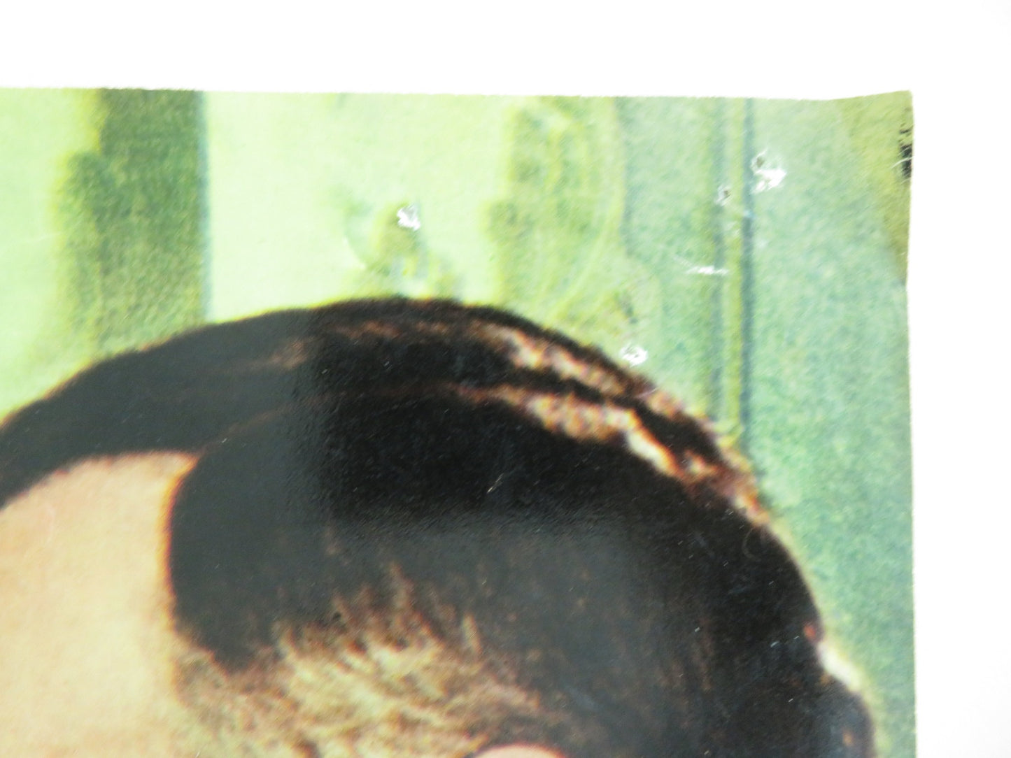 SEX AND THE SINGLE GIRL - C ITALIAN FOTOBUSTA POSTER TONY CURTIS N. WOOD 1964 - Rendezvous Cinema