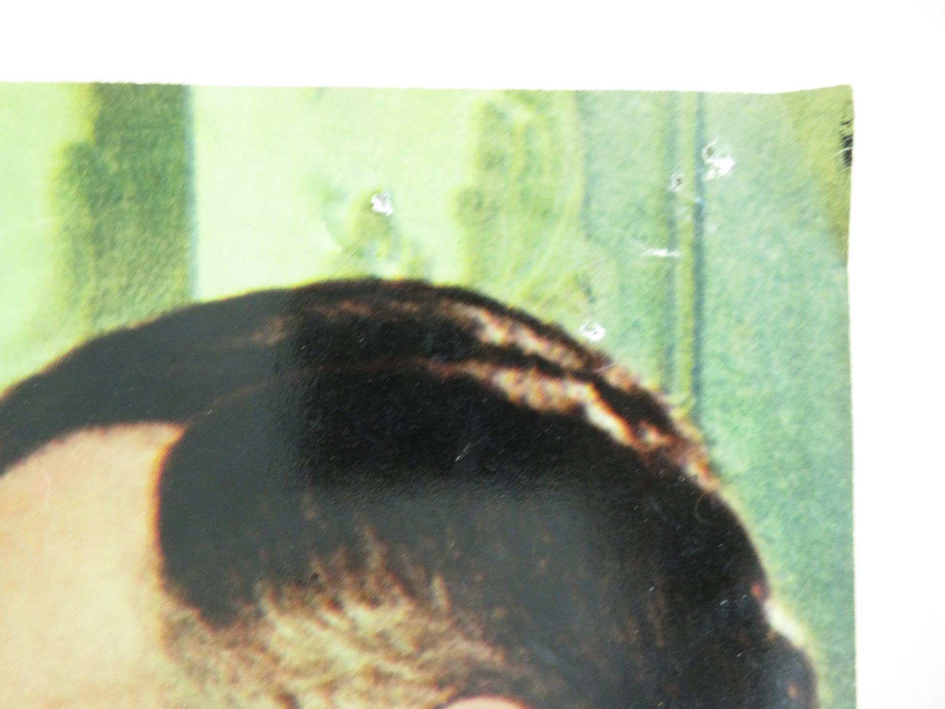 SEX AND THE SINGLE GIRL - C ITALIAN FOTOBUSTA POSTER TONY CURTIS N. WOOD 1964 - Rendezvous Cinema