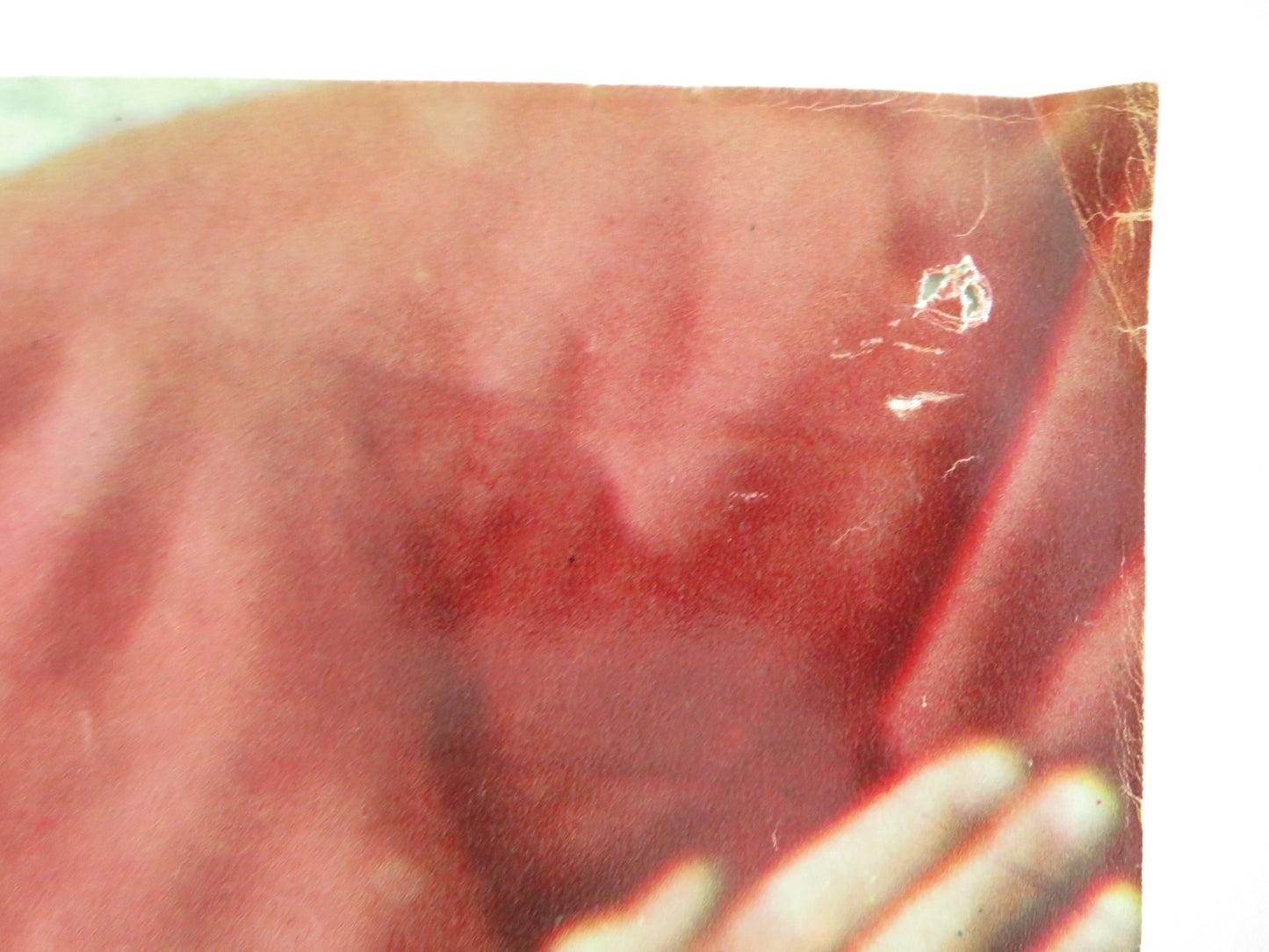 SEX AND THE SINGLE GIRL - D ITALIAN FOTOBUSTA POSTER TONY CURTIS N. WOOD 1964 - Rendezvous Cinema