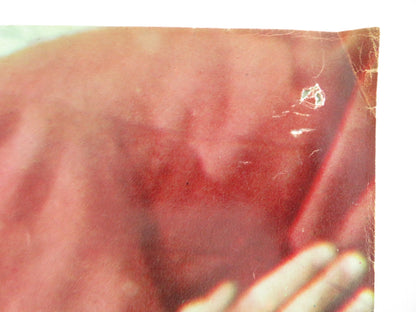 SEX AND THE SINGLE GIRL - D ITALIAN FOTOBUSTA POSTER TONY CURTIS N. WOOD 1964 - Rendezvous Cinema