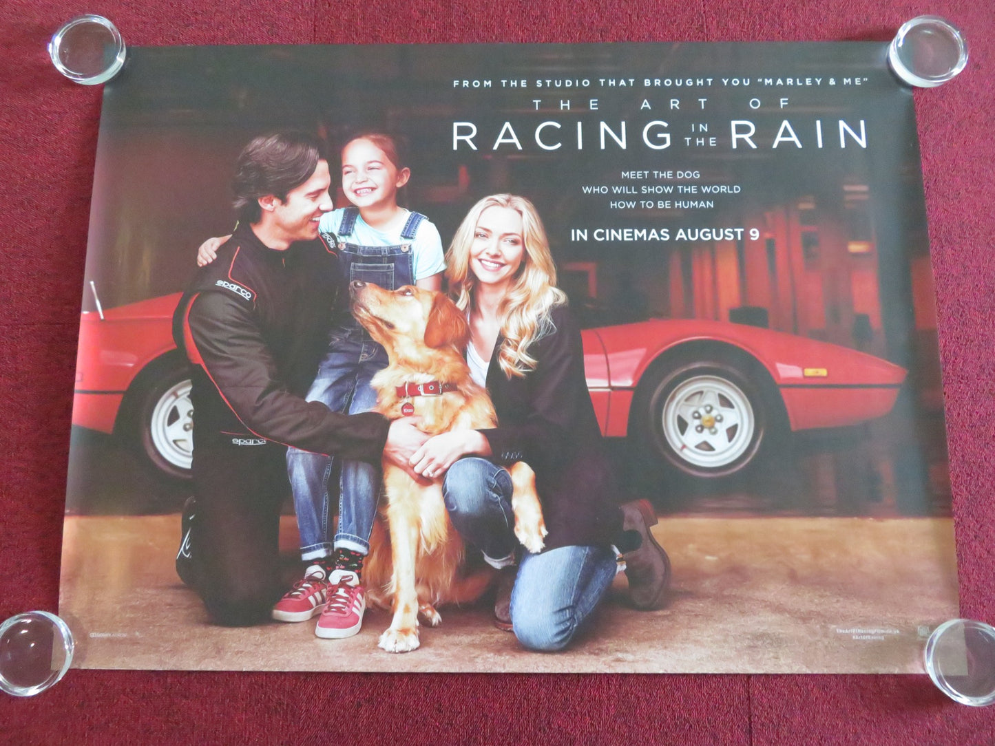 THE ART OF RACING IN THE RAIN  UK QUAD ROLLED POSTER KEVIN COSTNER 2019