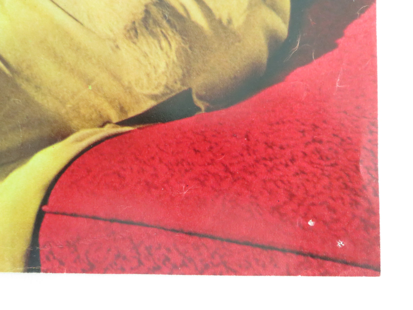 SEX AND THE SINGLE GIRL - I ITALIAN FOTOBUSTA POSTER TONY CURTIS N. WOOD 1964 - Rendezvous Cinema