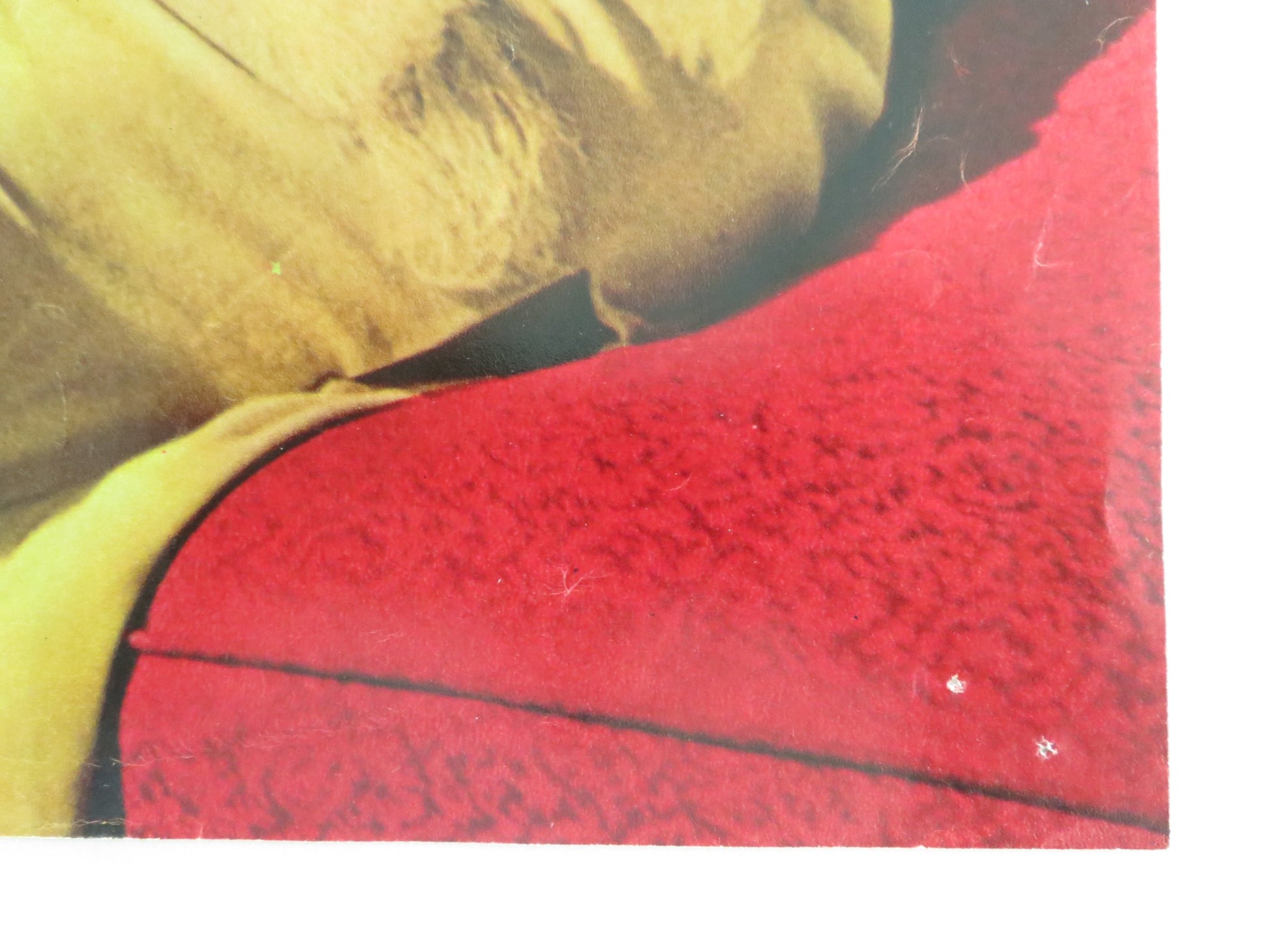 SEX AND THE SINGLE GIRL - I ITALIAN FOTOBUSTA POSTER TONY CURTIS N. WOOD 1964 - Rendezvous Cinema