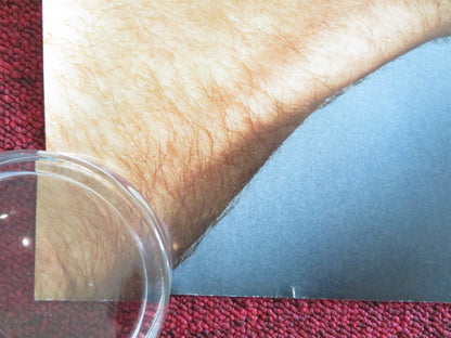 FRIENDS WITH BENEFITS UK QUAD ROLLED POSTER JUSTIN TIMBERLAKE MILA KUNIS 2011