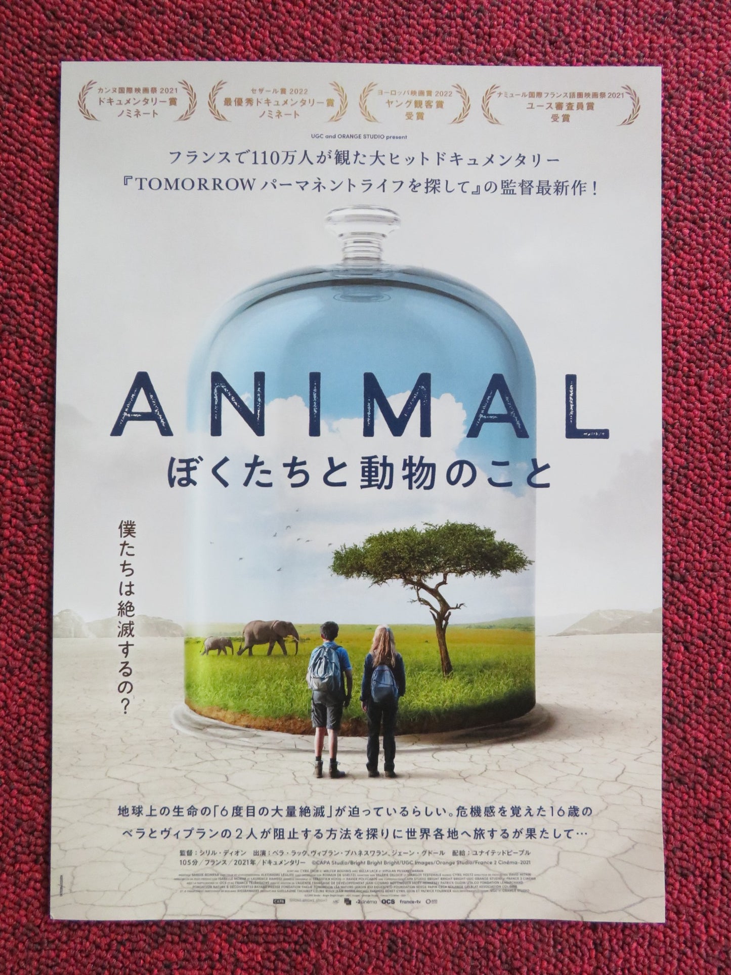 ANIMAL JAPANESE CHIRASHI (B5) POSTER BELLA LACK VIPULAN PUVANESWARAN 2021 - Rendezvous Cinema