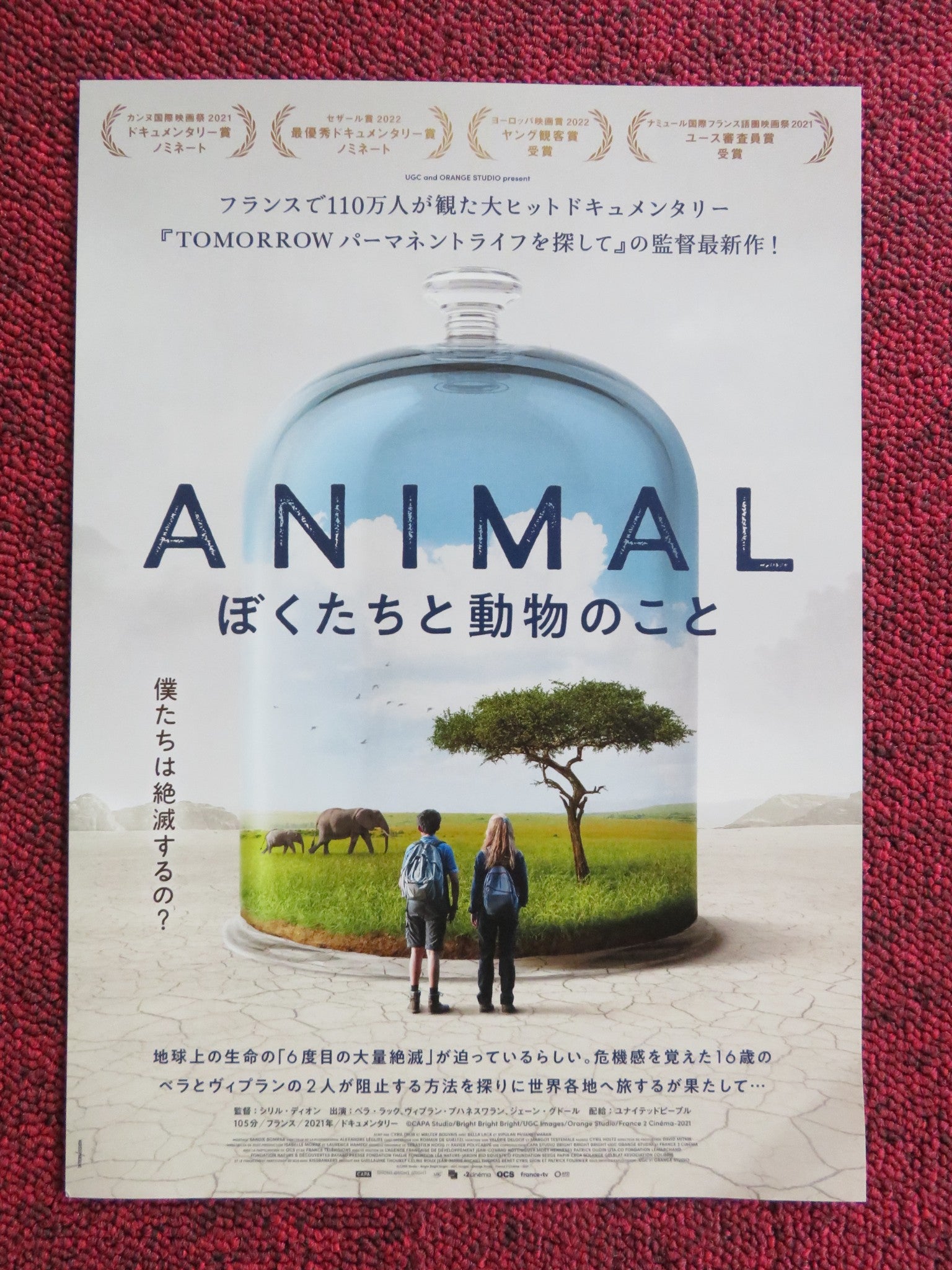 ANIMAL JAPANESE CHIRASHI (B5) POSTER BELLA LACK VIPULAN PUVANESWARAN 2021 - Rendezvous Cinema
