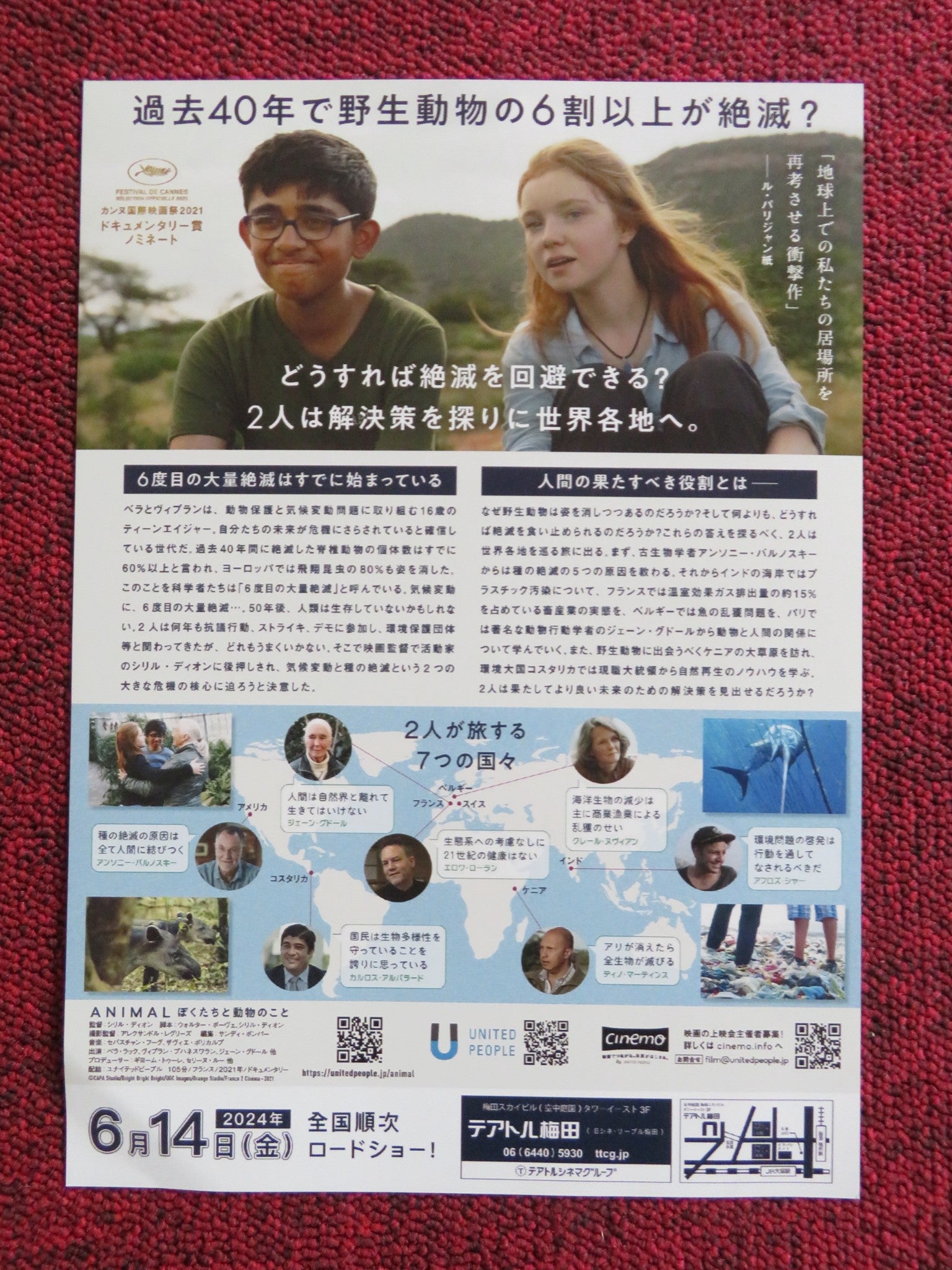 ANIMAL JAPANESE CHIRASHI (B5) POSTER BELLA LACK VIPULAN PUVANESWARAN 2021 - Rendezvous Cinema