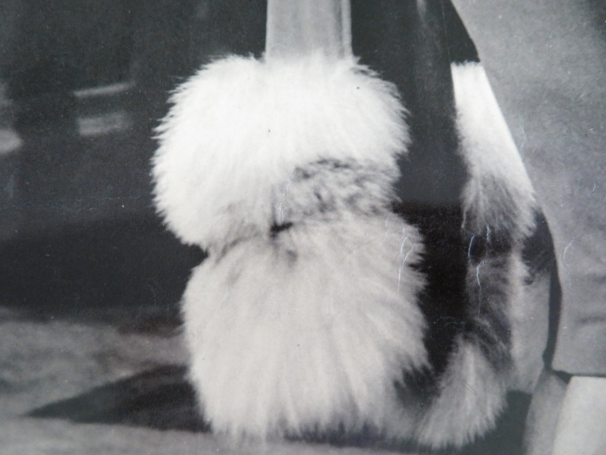 MADISON AVENUE - L ITALIAN FOTOBUSTA POSTER DANA ANDREWS ELEANOR PARKER 1961 - Rendezvous Cinema