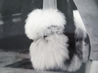 MADISON AVENUE - L ITALIAN FOTOBUSTA POSTER DANA ANDREWS ELEANOR PARKER 1961 - Rendezvous Cinema