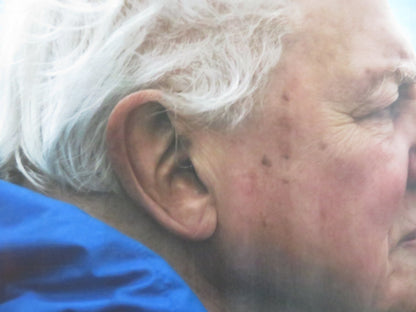 OCEAN WITH DAVID ATTENBOROUGH UK QUAD ROLLED POSTER 2025