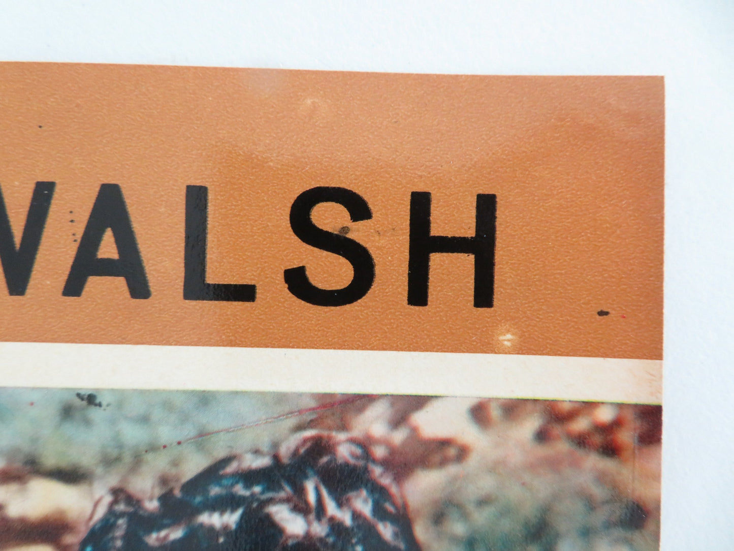 GUN FURY - B ITALIAN FOTOBUSTA POSTER ROCK HUDSON DONNA REED R1966 - Rendezvous Cinema