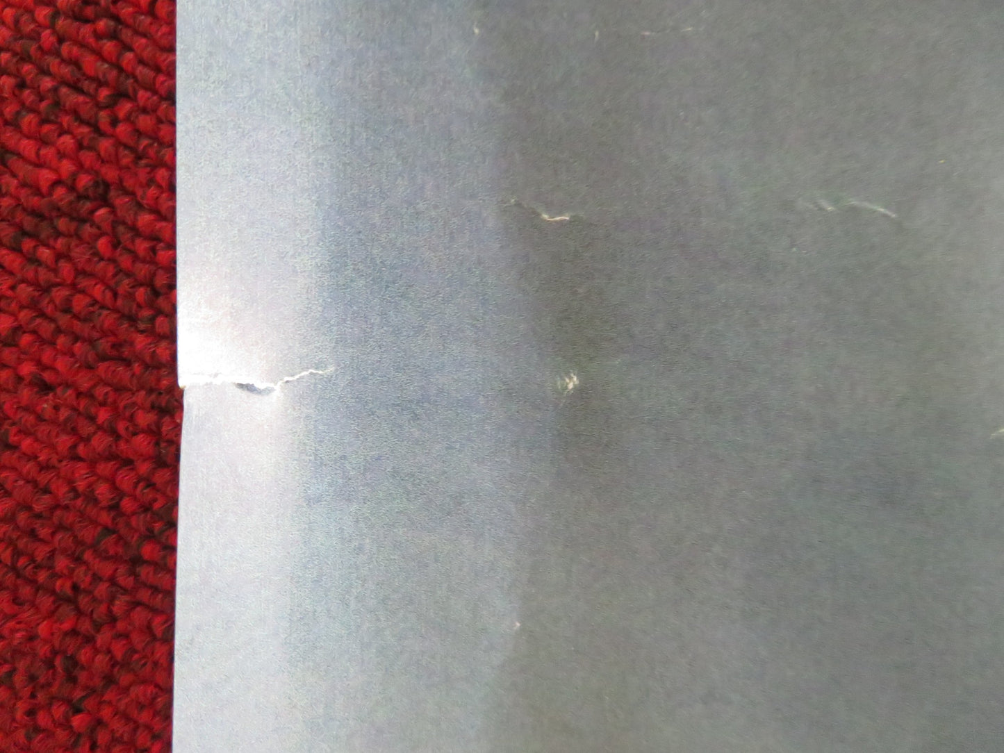 OCEAN WITH DAVID ATTENBOROUGH UK QUAD ROLLED POSTER 2025