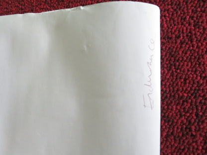 ENDURANCE UK QUAD ROLLED POSTER DAN SNOW N. VINCENT NATIONAL GEOGRAPHIC 2024