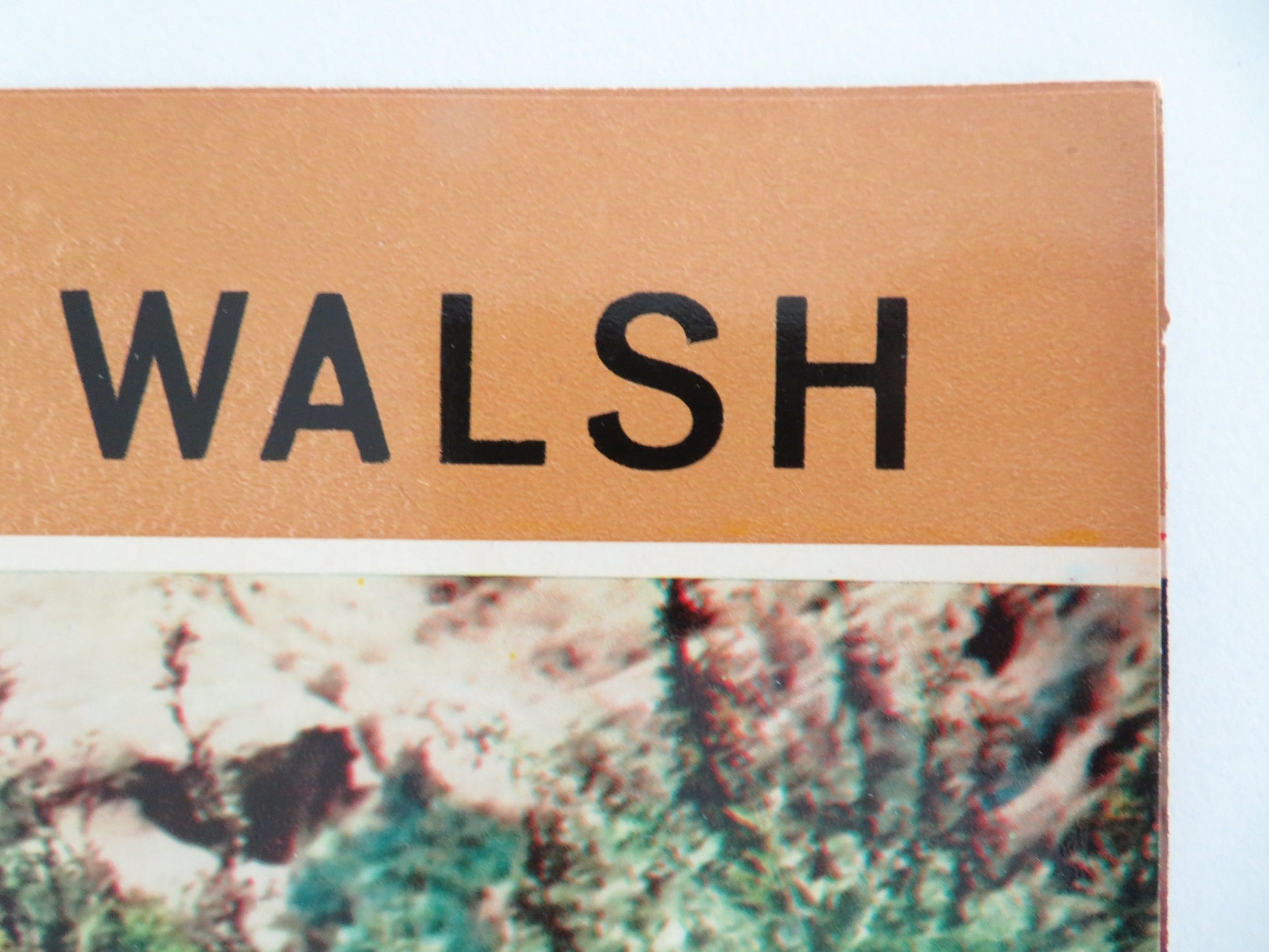 GUN FURY - E ITALIAN FOTOBUSTA POSTER ROCK HUDSON DONNA REED R1966 - Rendezvous Cinema