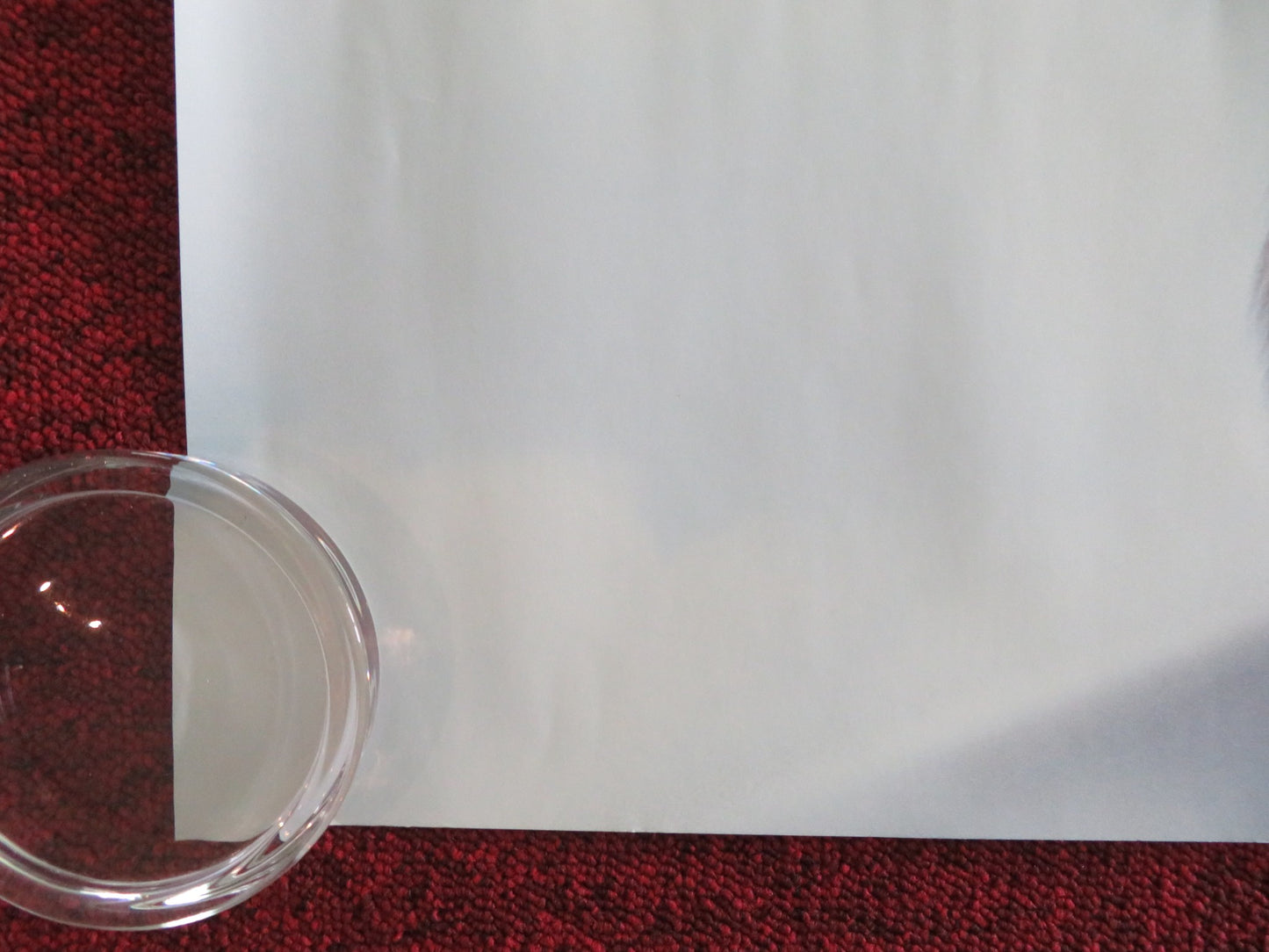 SORRY, BABY UK QUAD ROLLED POSTER EVA VICTOR NAOMI ACKIE 2025