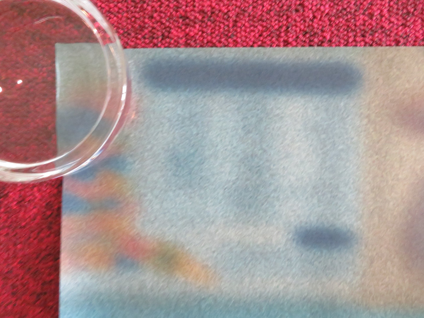 STEVE UK QUAD ROLLED POSTER CILIAN MURPHY EMILY WATSON JAY LYCURGO 2025