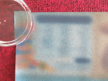 STEVE UK QUAD ROLLED POSTER CILIAN MURPHY EMILY WATSON JAY LYCURGO 2025