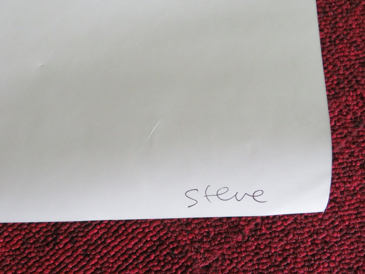 STEVE UK QUAD ROLLED POSTER CILIAN MURPHY EMILY WATSON JAY LYCURGO 2025