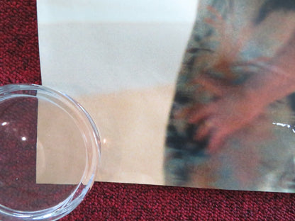 ISLANDS UK QUAD ROLLED POSTER SAM RILEY STACY MARTIN 2025