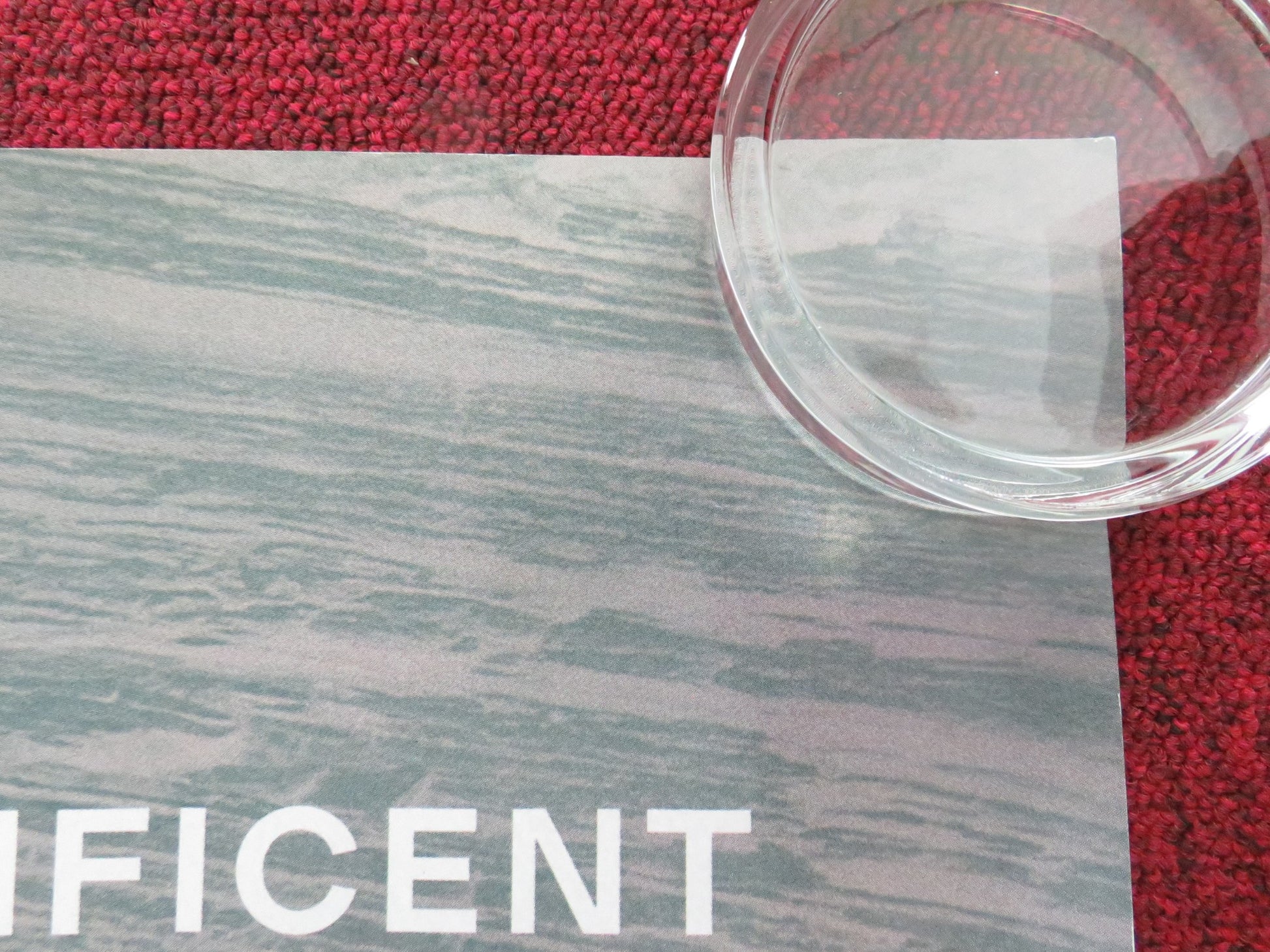 THE OUTRUN UK QUAD ROLLED POSTER SAOIRSE RONAN PAAPA ESSIEDU 2024 - Rendezvous Cinema