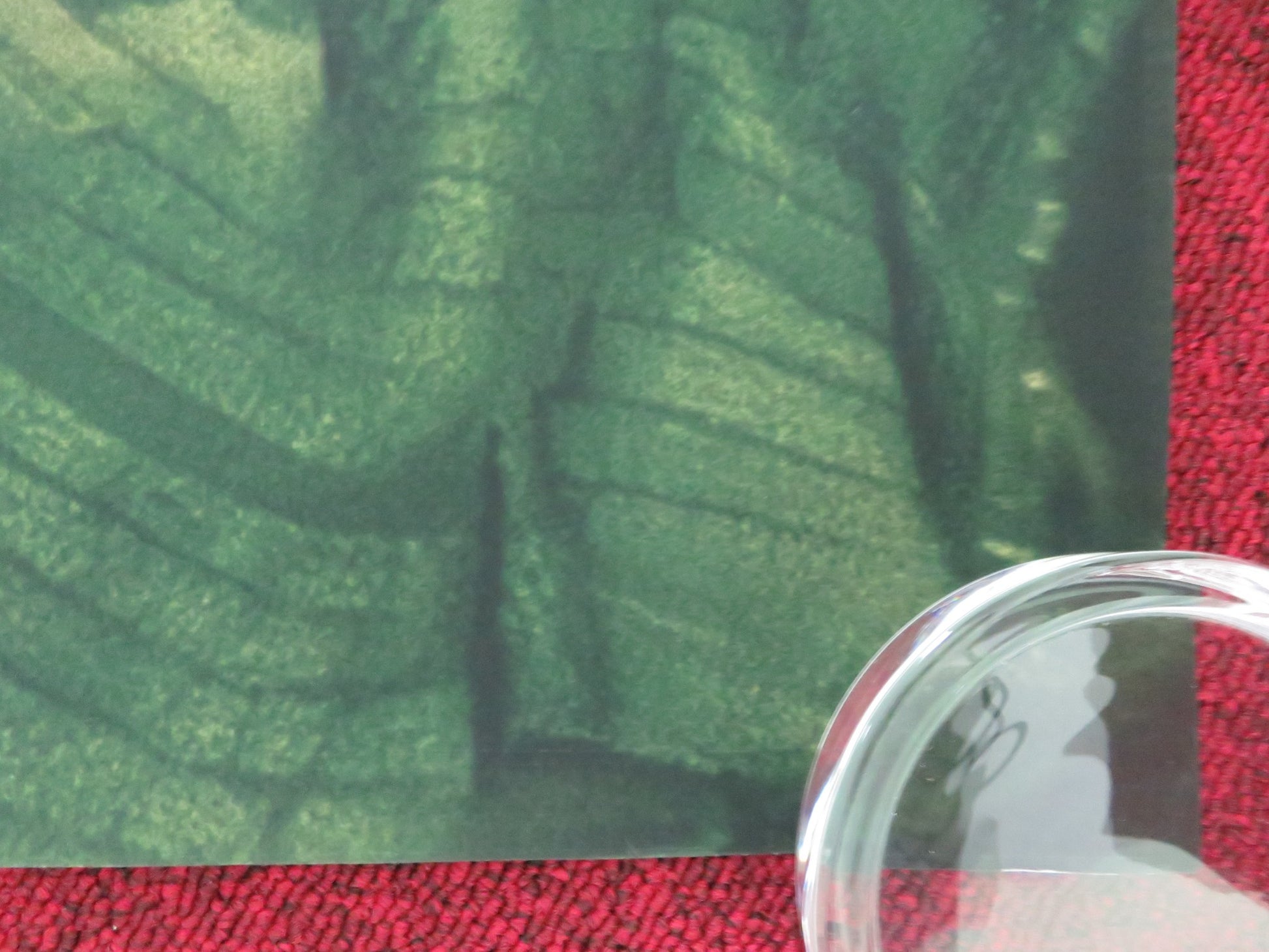 ALL HAPPY FAMILIES UK QUAD ROLLED POSTER JOSH RADNOR CHANDRA RUSSELL 2023 - Rendezvous Cinema