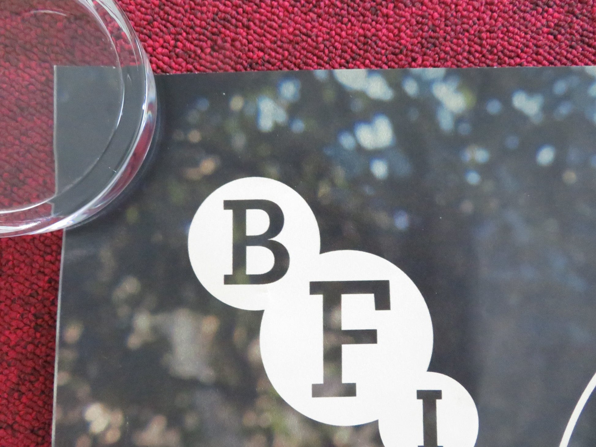 PICNIC AT HANGING ROCK - BFI UK QUAD ROLLED POSTER RACHEL ROBERTS V. GRAY 2025 - Rendezvous Cinema