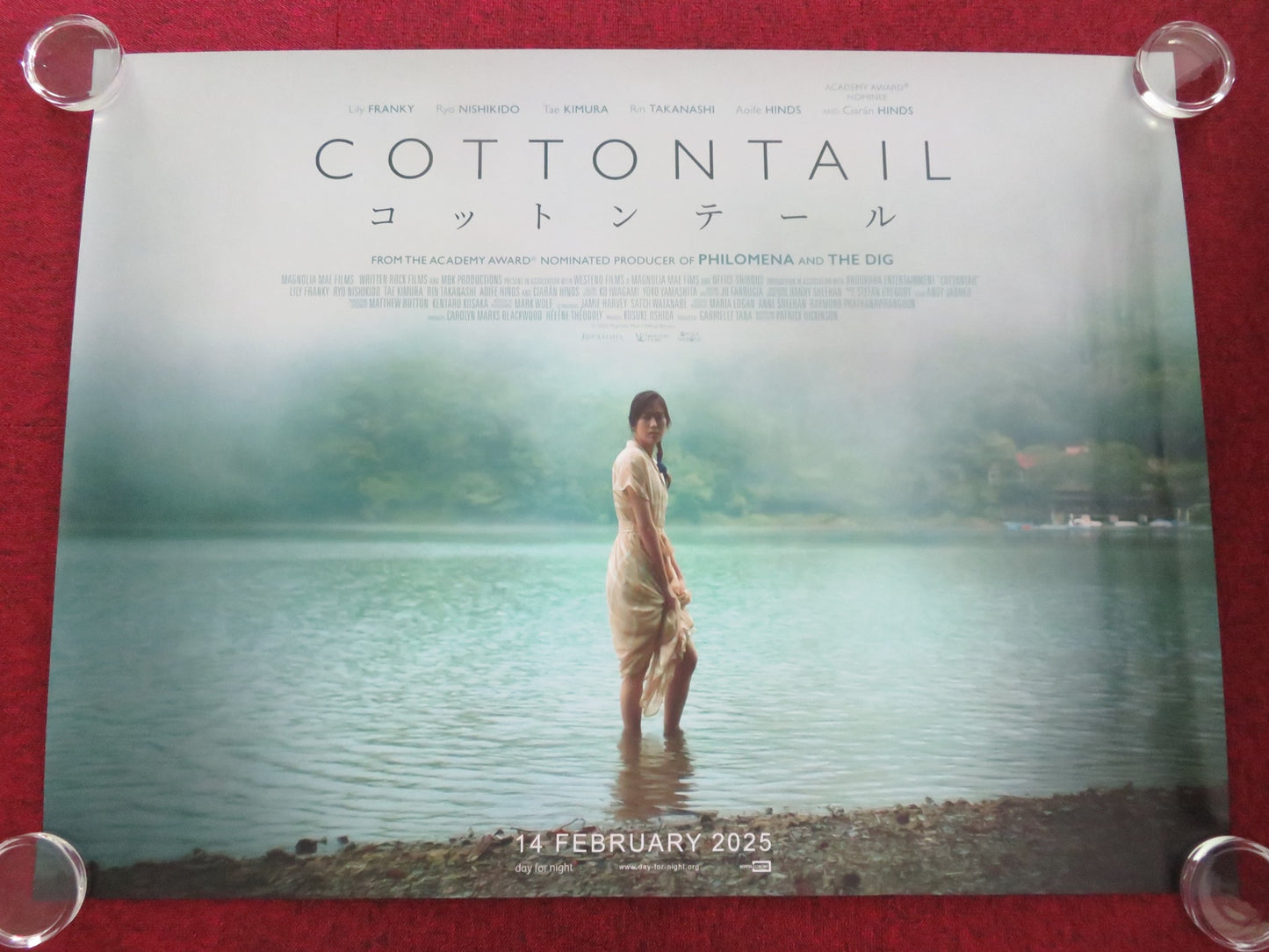 COTTONTAIL UK QUAD ROLLED POSTER CIARAN HINDS ISY SUTTIE 2023 - Rendezvous Cinema