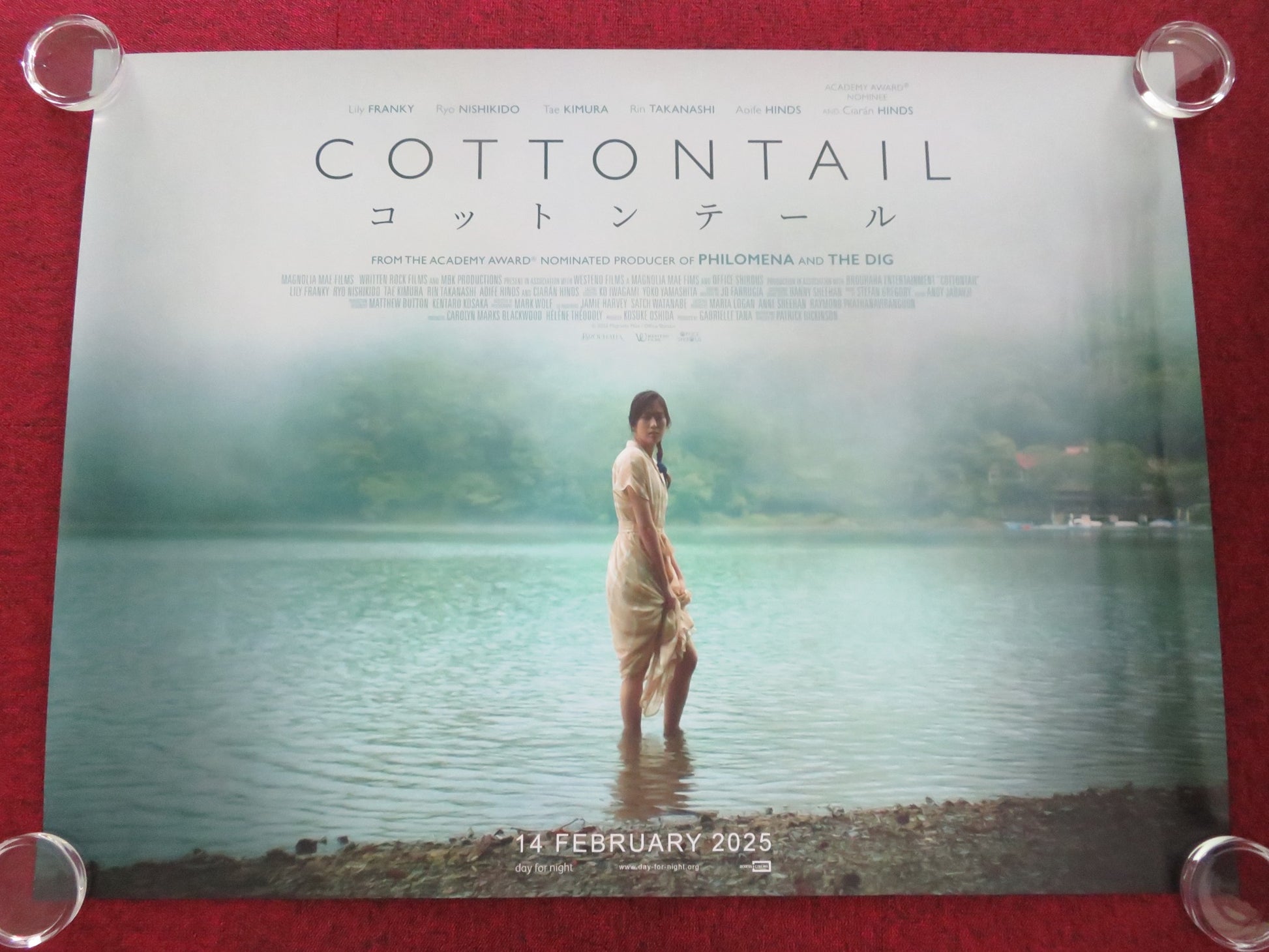 COTTONTAIL UK QUAD ROLLED POSTER CIARAN HINDS ISY SUTTIE 2023 - Rendezvous Cinema