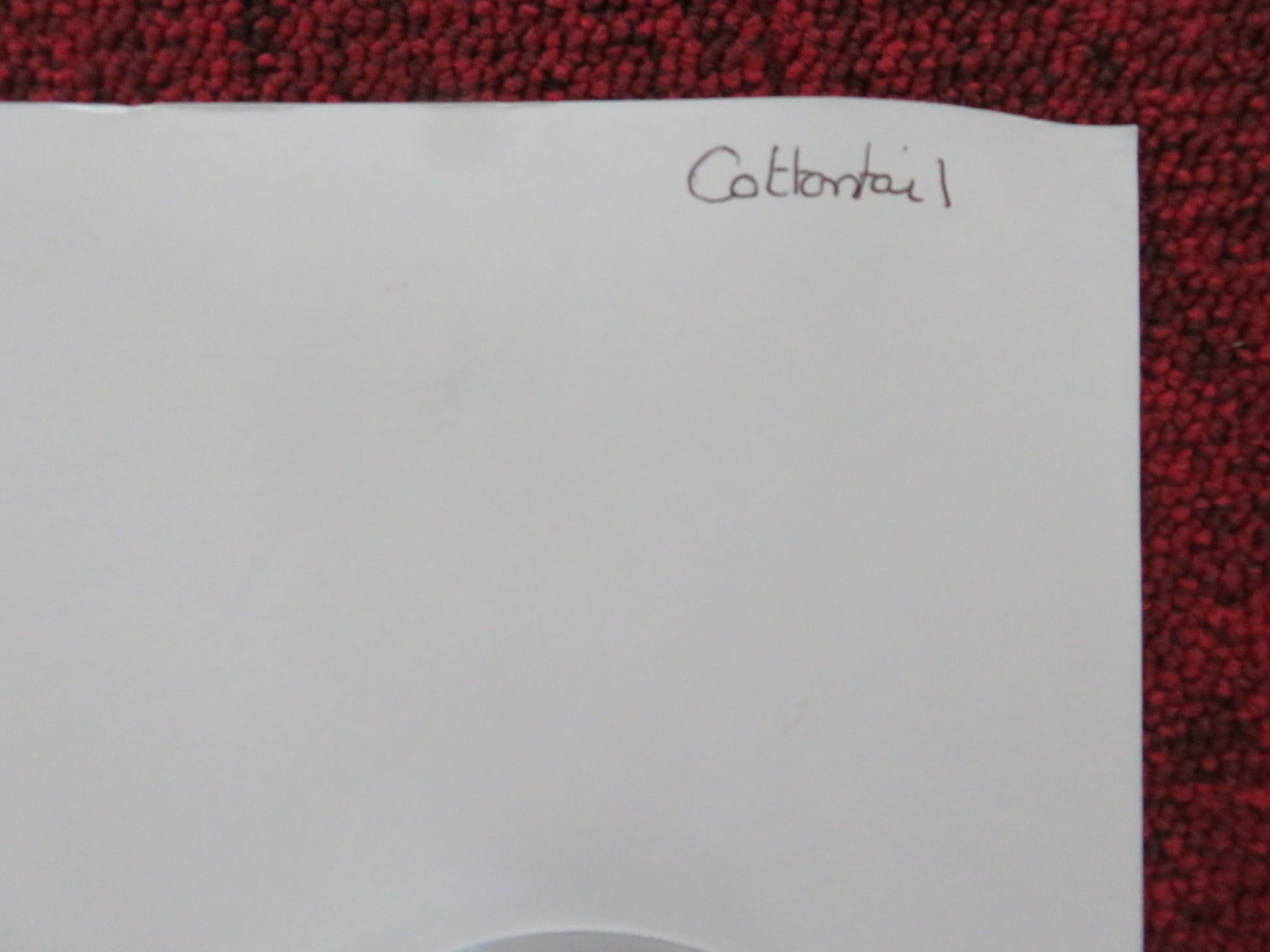COTTONTAIL UK QUAD ROLLED POSTER CIARAN HINDS ISY SUTTIE 2023 - Rendezvous Cinema